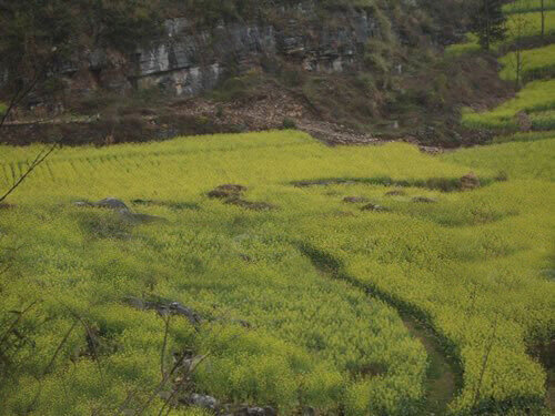 相传贵州反字岩隐藏彝王宝藏