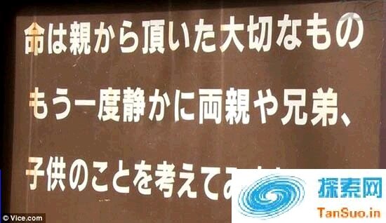 揭秘日本的“自杀森林”——青木原树海