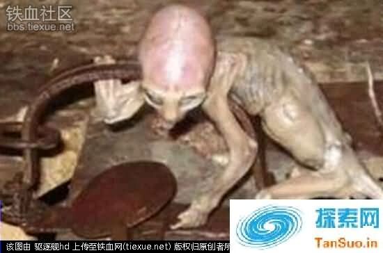 女宇航员无故集体怀孕