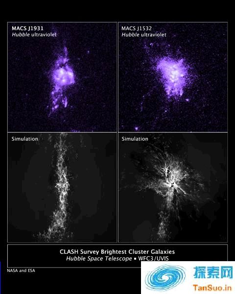 来自两个独立的研究小组发现，黑洞、高速漂流和新生恒星之间存在调节周期，黑洞可控制恒星的诞生速率