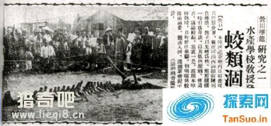 1934年营口坠龙事件|灵异