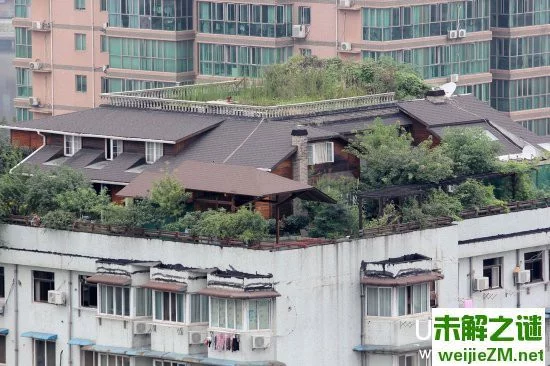 武汉牛人楼顶藏花园：两层楼配鱼池！